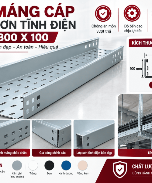 Thang cáp 300×100